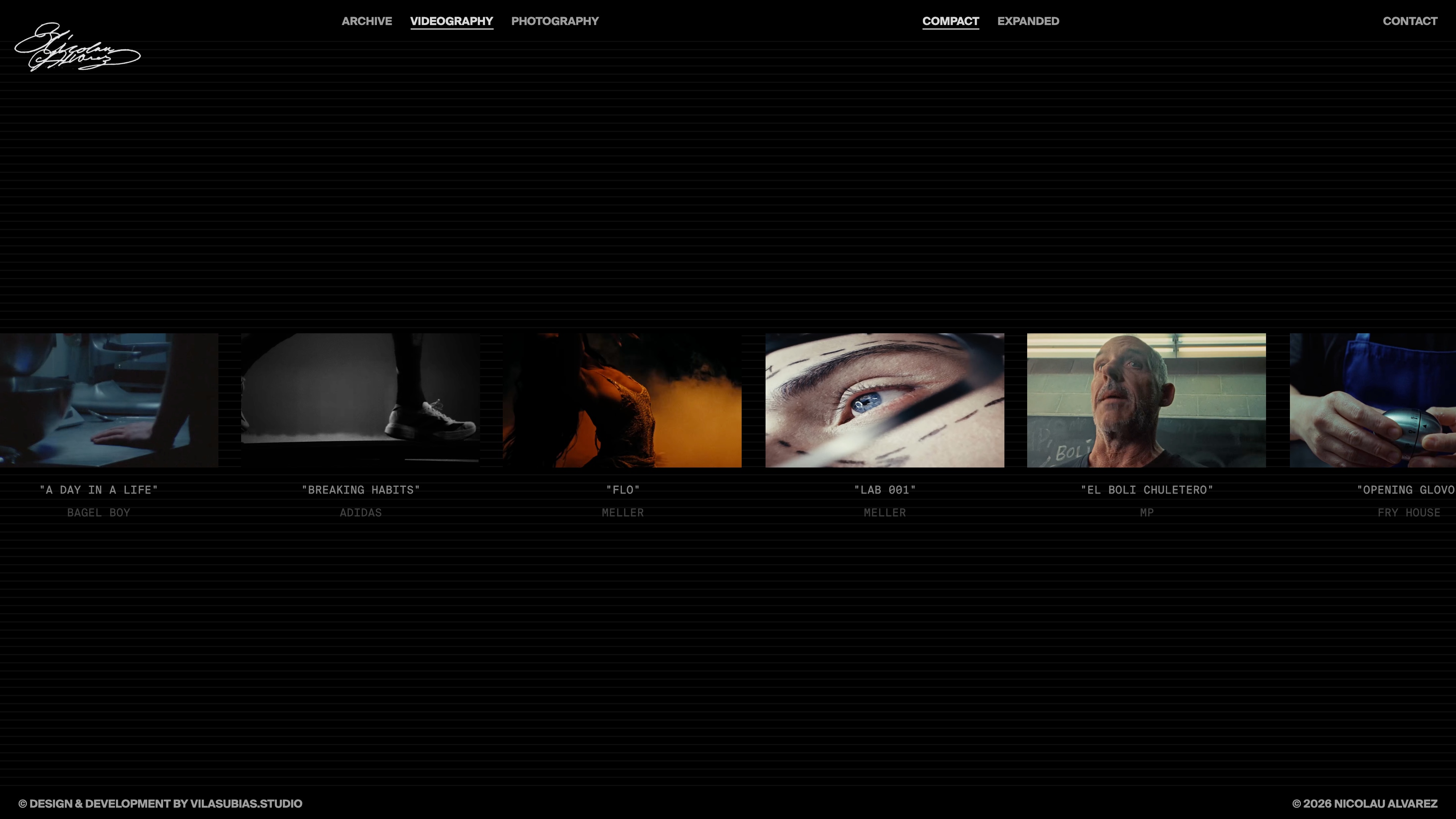 Nicolau Alvarez website view 2