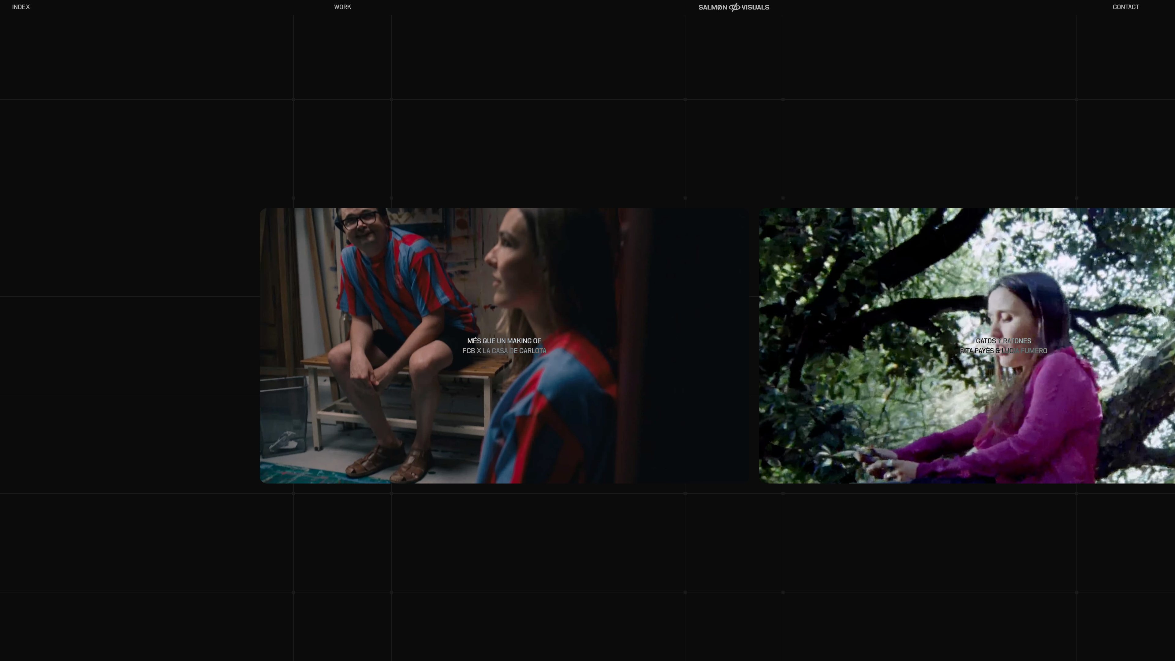 Salmon Visuals website view 1