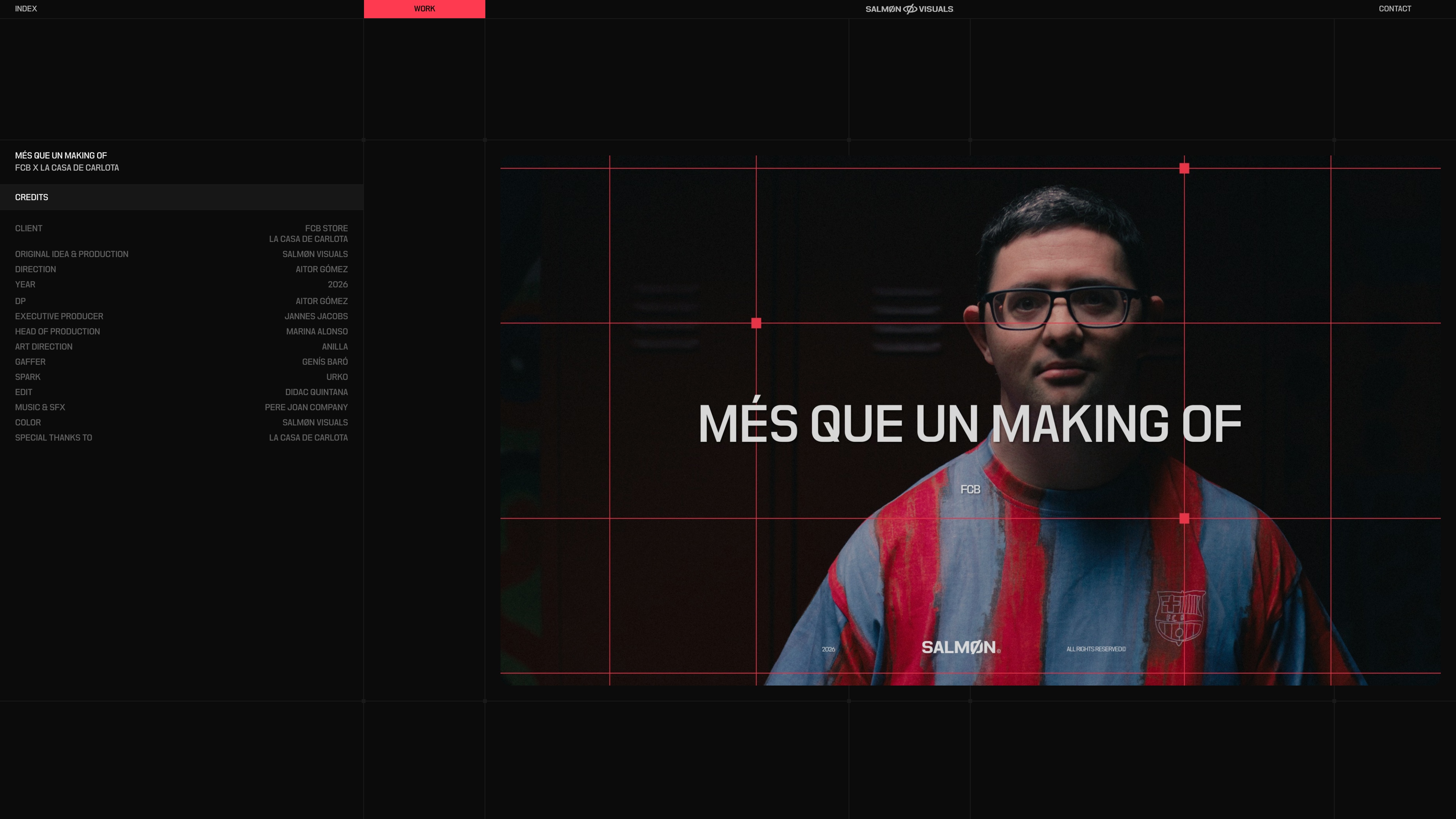 Salmon Visuals website view 4