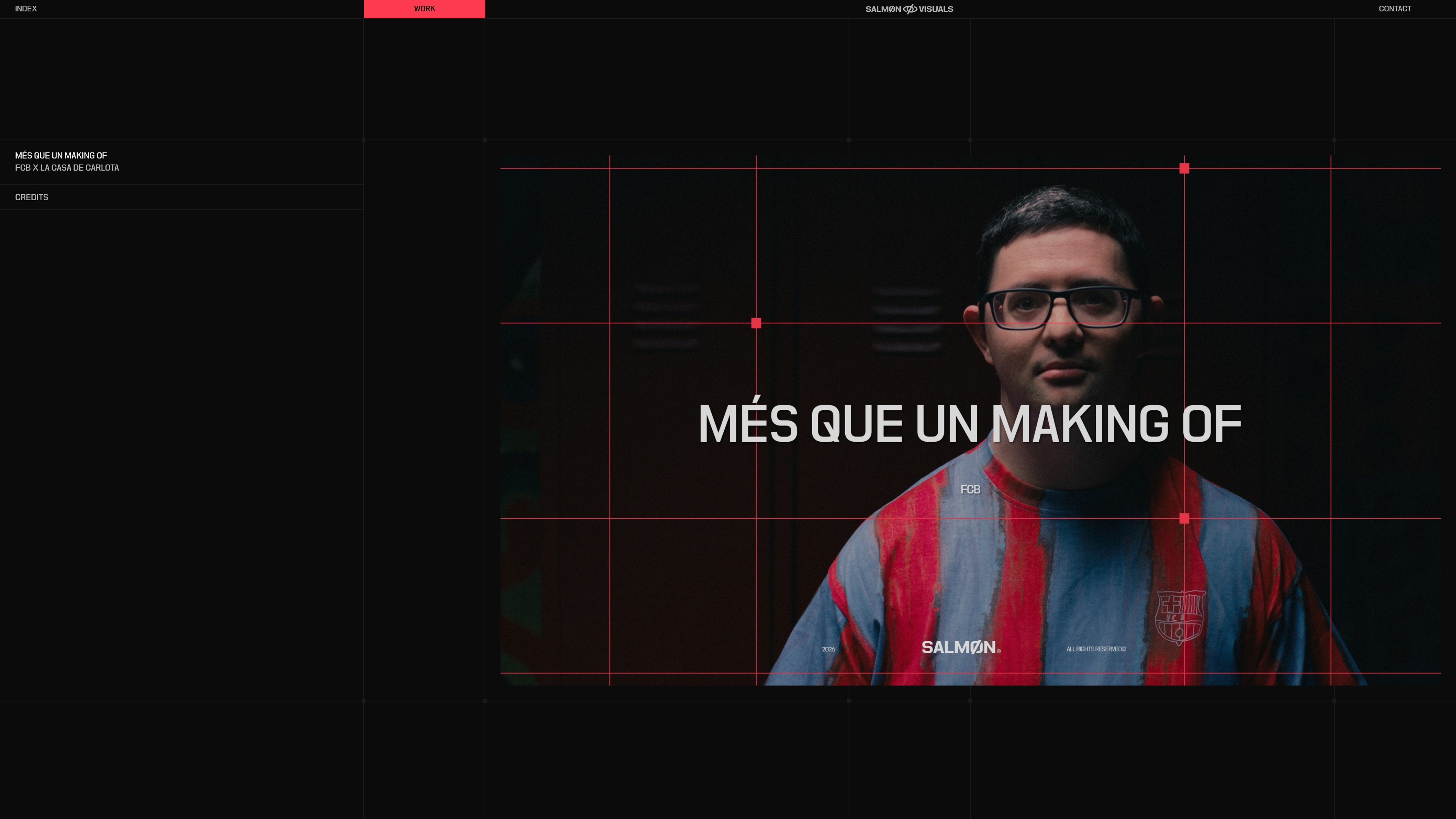 Salmon Visuals website view 3